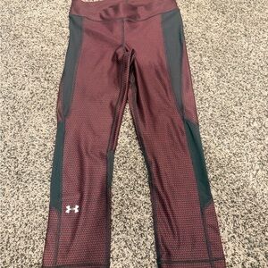 Jordan Burgundy and Black Performance Leggings